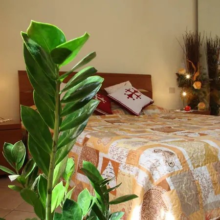 Bed & Breakfast Town