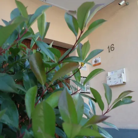 Bed & Breakfast Town