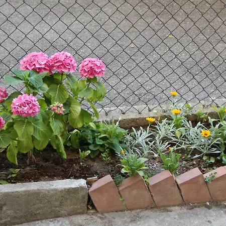 Bed & Breakfast Town