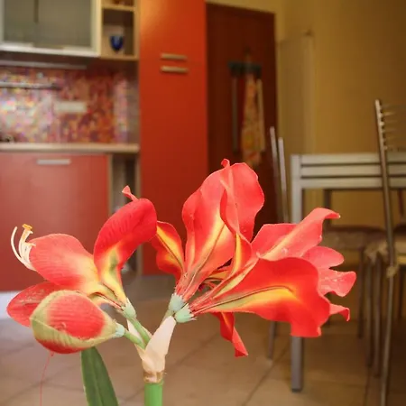 Bed and breakfast Town *