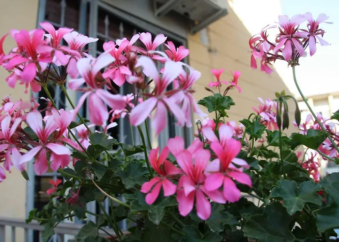 Bed & Breakfast Town Pisa