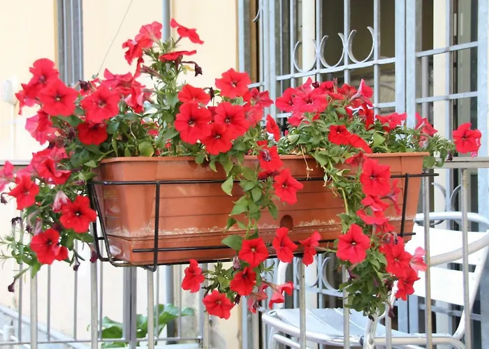 Town Bed & Breakfast Pisa