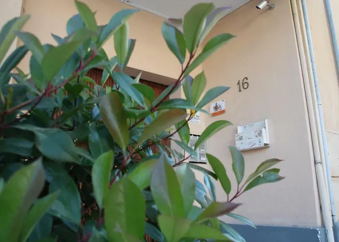 Bed & Breakfast Town