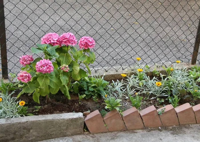 Bed & Breakfast Town