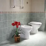 לינה וארוחת בוקר Town *